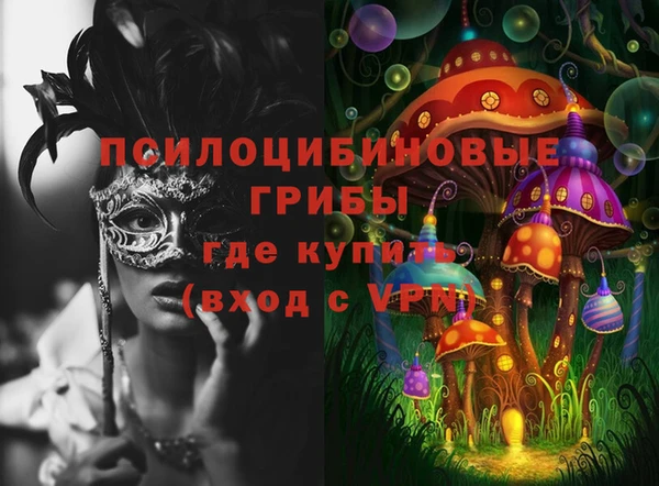 ГАЛЛЮЦИНОГЕННЫЕ ГРИБЫ Алексеевка