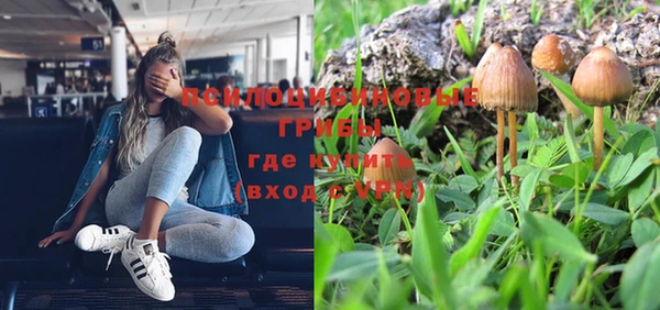 ГАЛЛЮЦИНОГЕННЫЕ ГРИБЫ Алексеевка