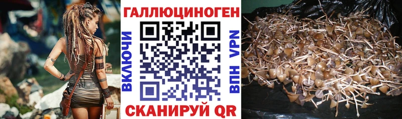 Галлюциногенные грибы Magic Shrooms  Кондопога 